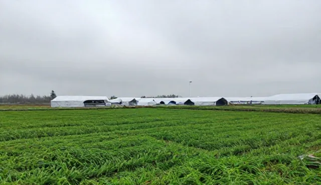 种植技术指导服务选型中的渠道供货关注点分析